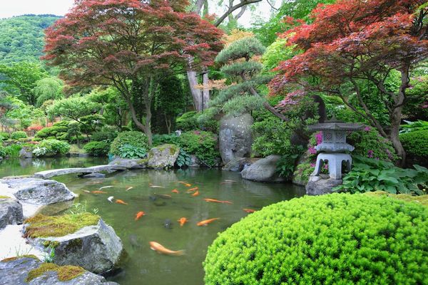 瀬見温泉 ゆめみの宿 観松館