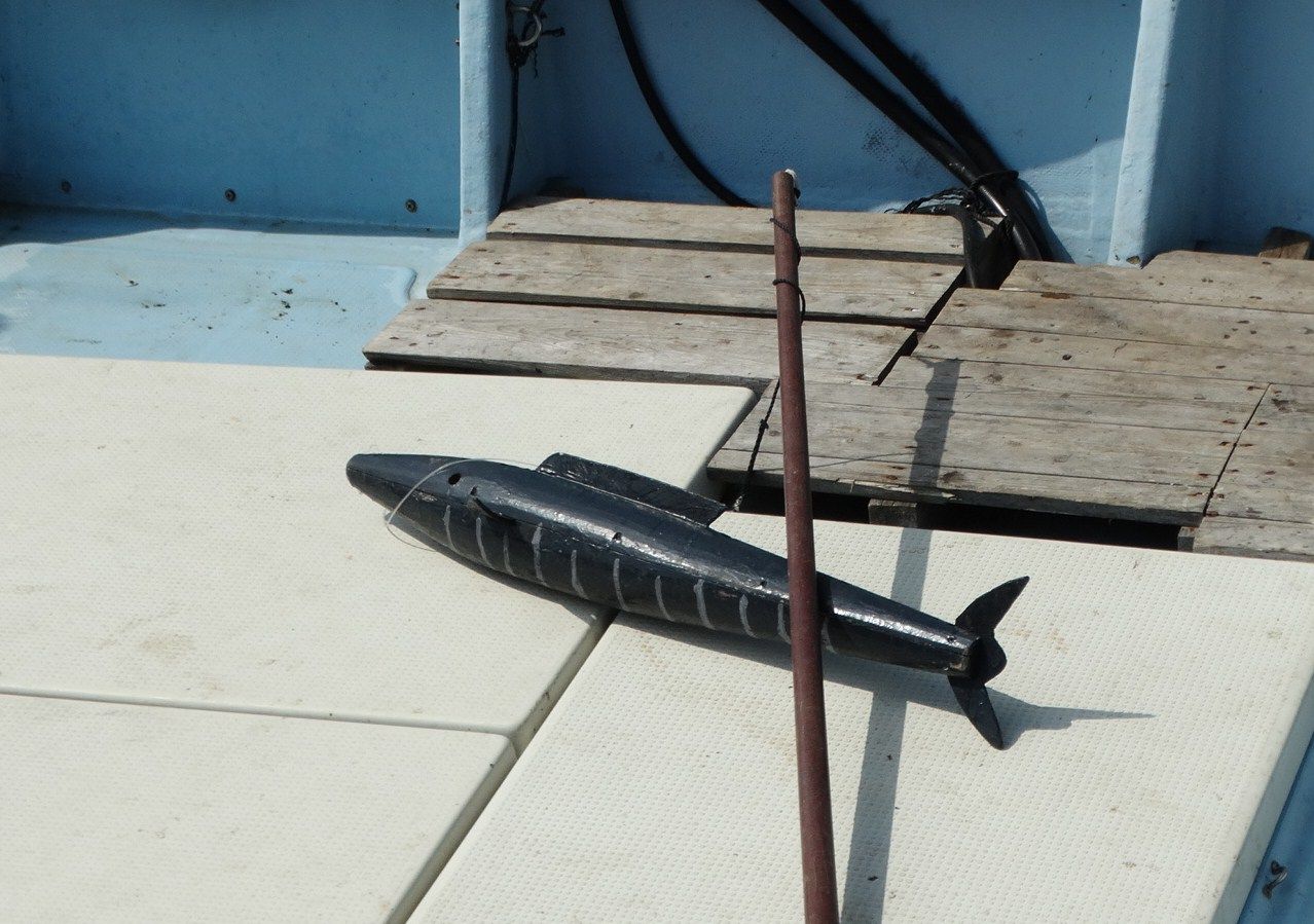 房総沖のマカジキ千葉県全国のプライドフィッシュプライドフィッシュ