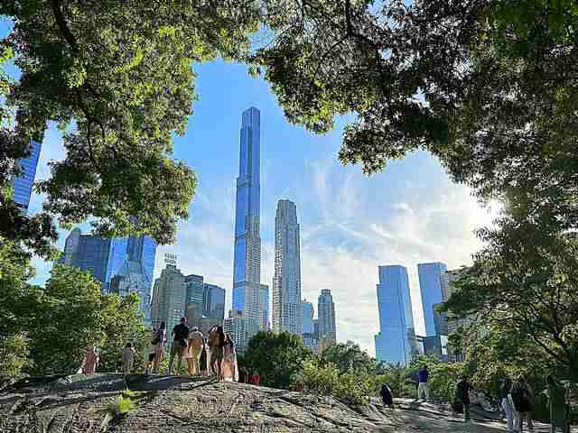 セントラルパークの花セントラルパーク散歩ニューヨーク観光Gallery Central Park FlowerNYUploadersNew York