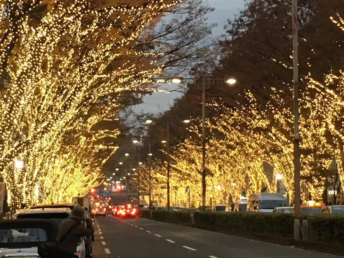 表参道 フェンディ イルミネーション 2024