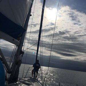 ヨットの走らせ方