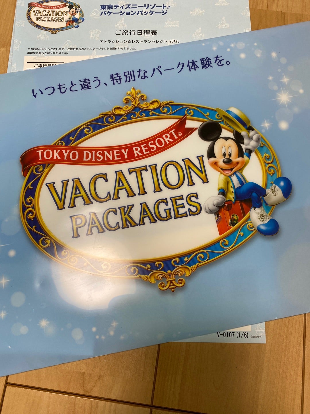 5枚専用 Disney 東京ディズニーリゾート 優先入場券 東京ディズニーランド