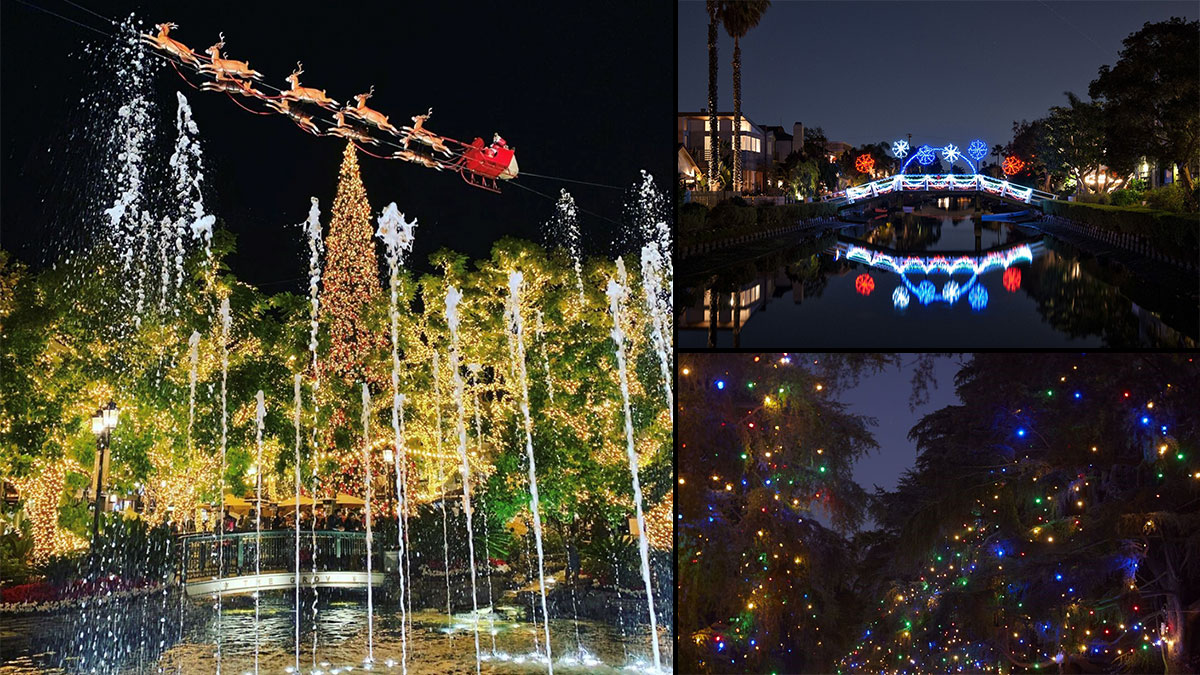 イルミネーション は英語で何と？ 丸の内仲通り