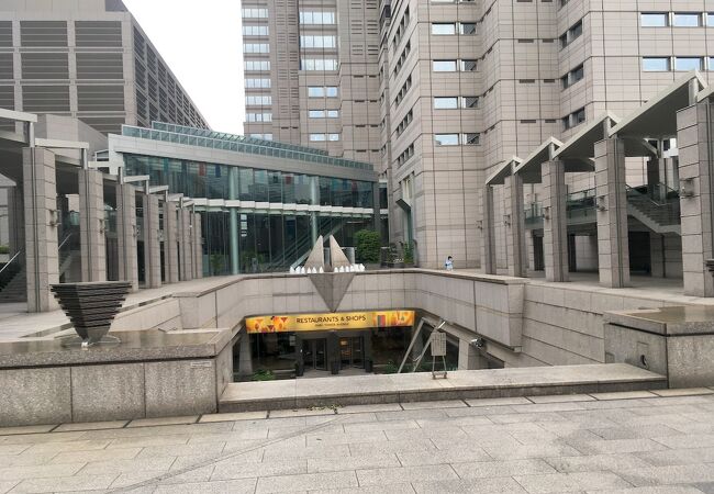 東京最高層47階のプールも再開、パークハイアット東京のデラックスルームに滞在TrimSkip