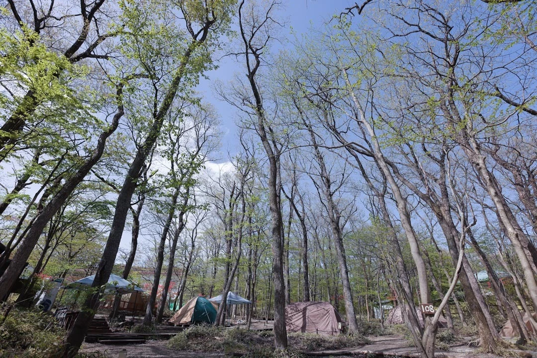 栃木県那須のキャンプ場ならぽんぽこの森ファミリーキャンプ場非日常