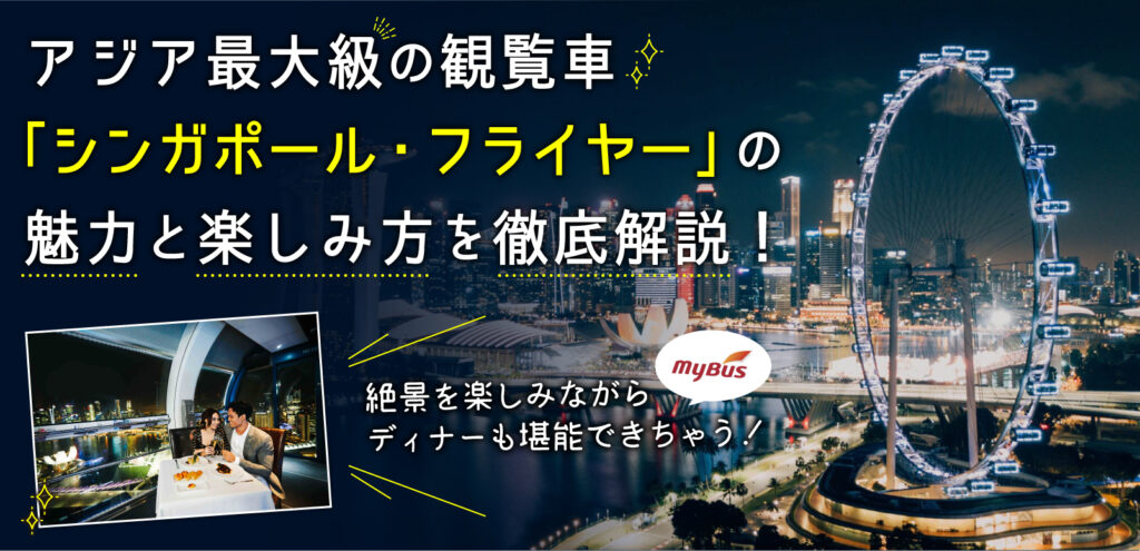 タイムカプセル付きシンガポールフライヤーチケット 2025