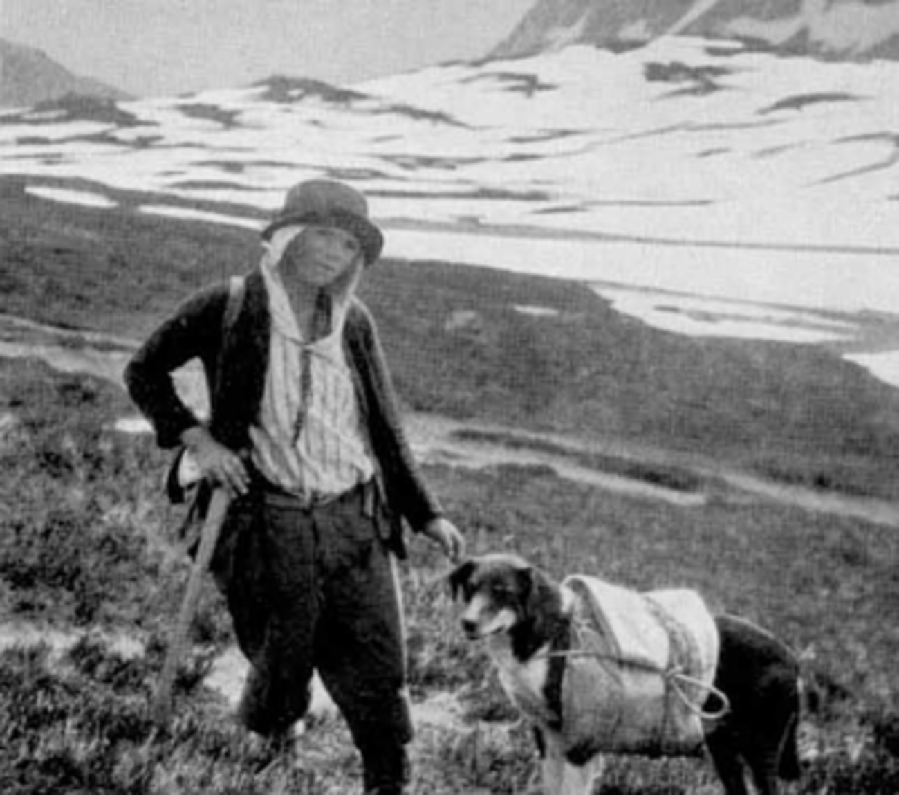 アメリカ・アラスカ 氷河がとけて洪水で家が流される州都・ジュノー 大量の水が湖に流れ込んだ影響で川が増水TBS