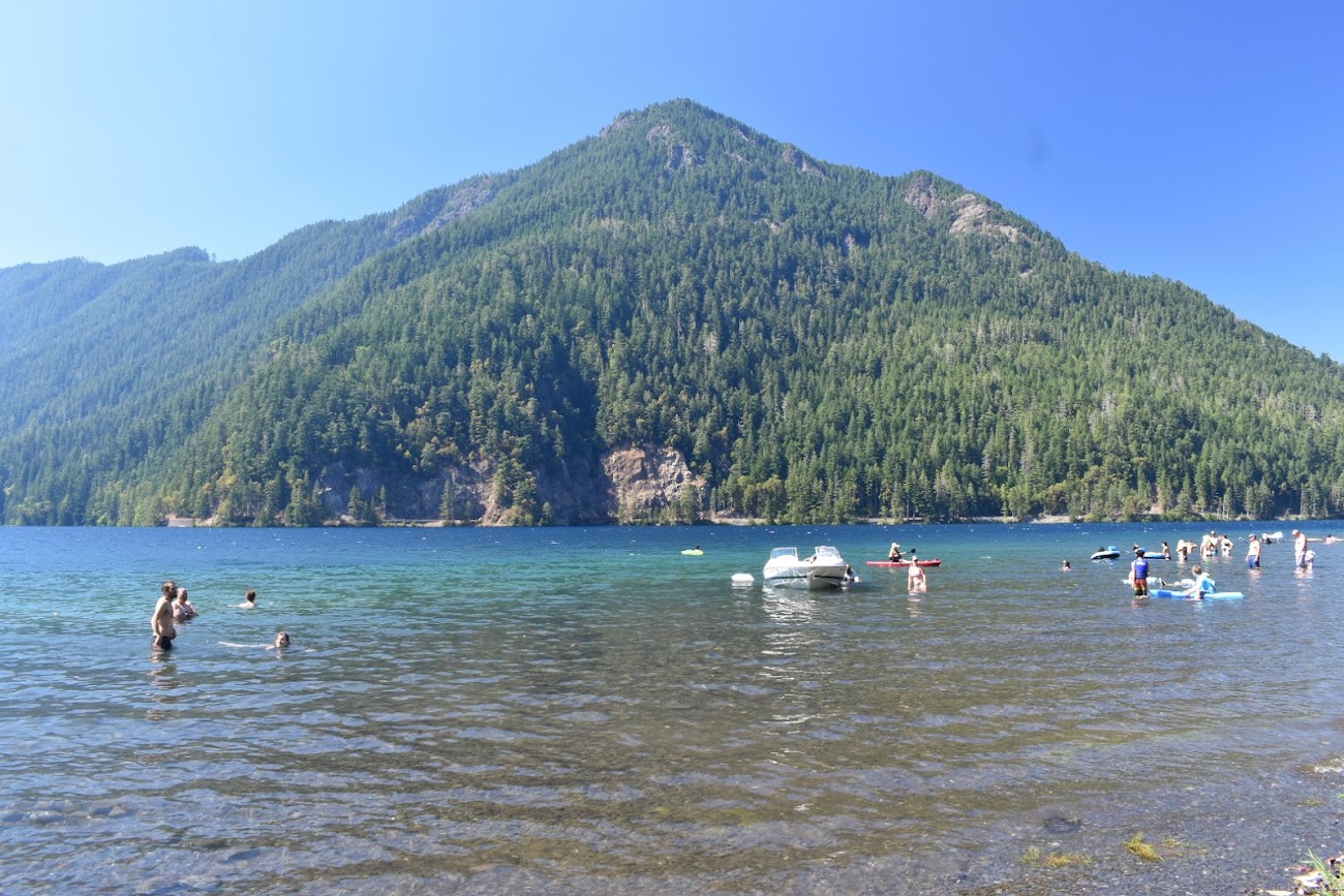 オリンピック国立公園シアトル発の日帰りツアーに参加Klook