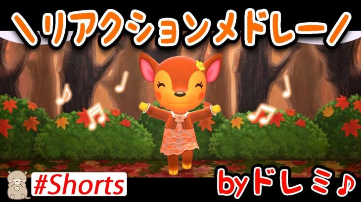 あつ森 コテージつきのドレミの別荘レイアウトが素敵かわいい! - あつ森まとめ速報