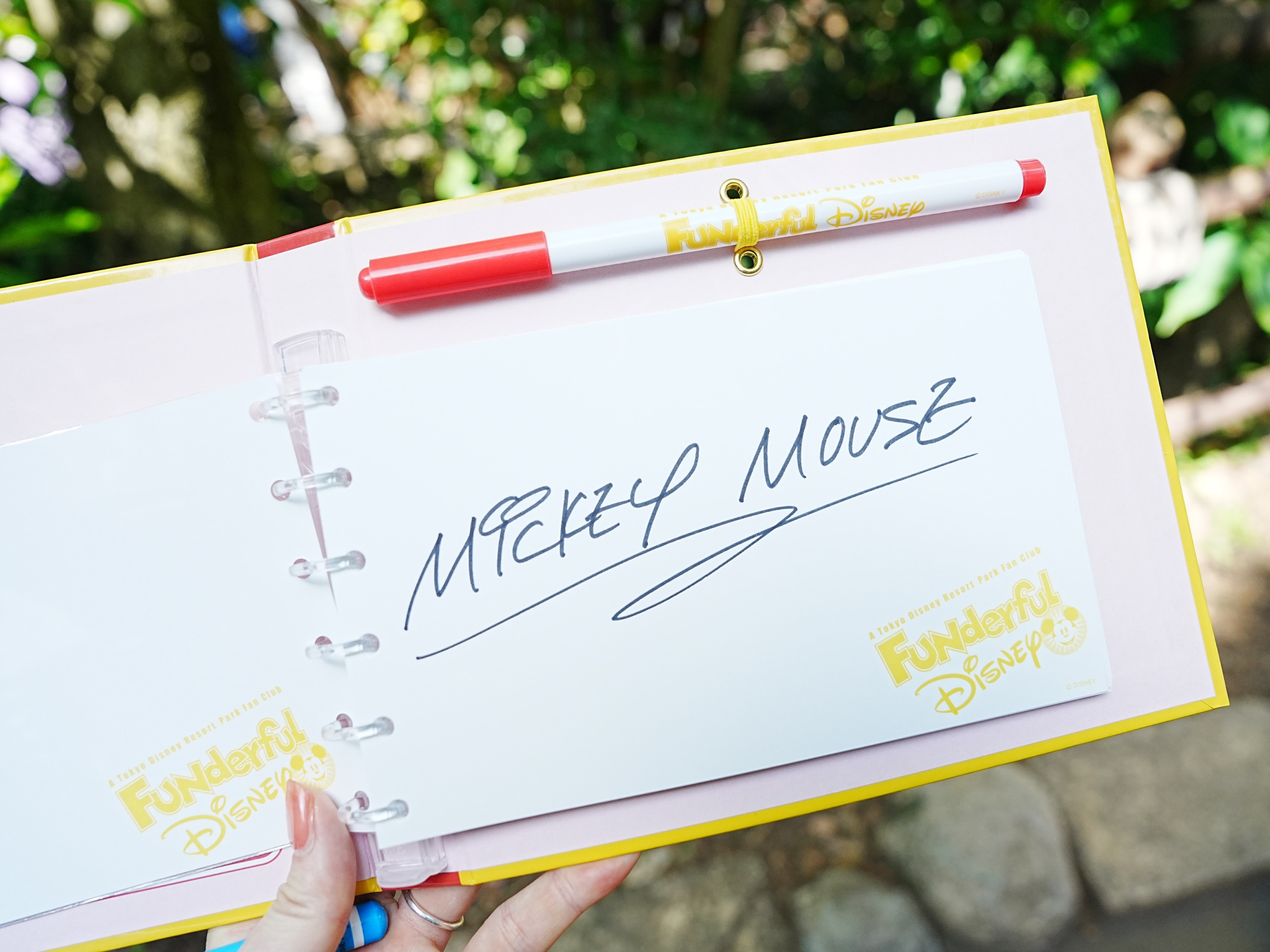 オタ活ディズニーtoday作り方TikTok