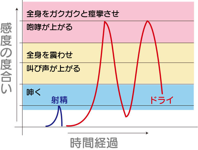 変態紳士倶楽部大阪店に行ったら、確実にドライオーガズムしたいあなたに｜大阪のＭ性感お役立ち情報