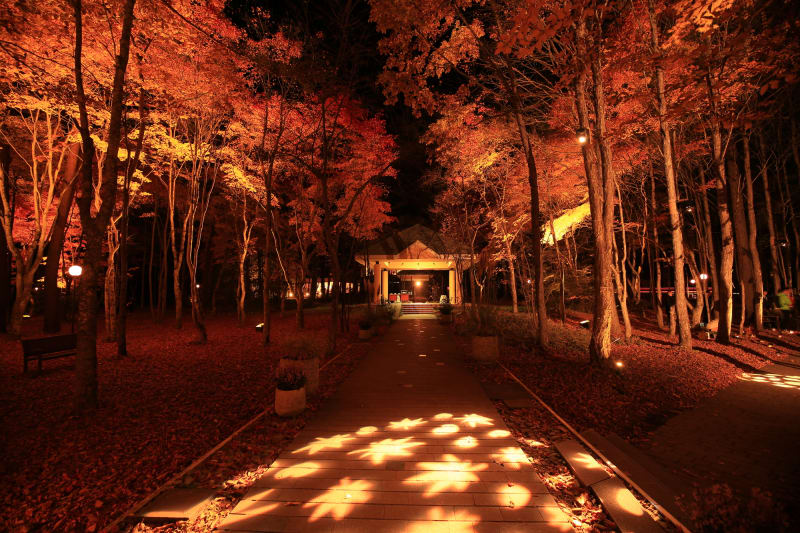 軽井沢・佐久地域の絶景紅葉スポット2025年特集