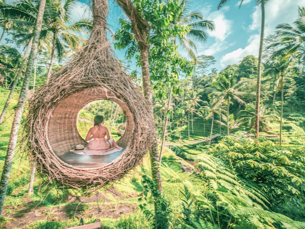 short movie バリ島ウブド絶景絶叫⁉︎ブランコ@ウマパケルumapakel