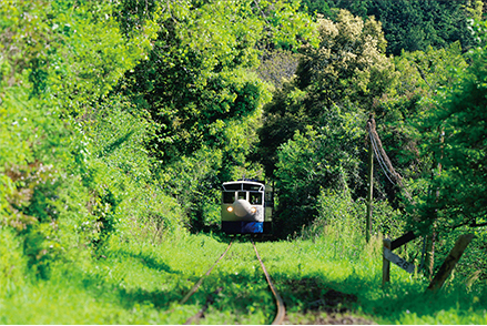 OKINAWA Pokemonフォトコンテスト沖縄観光情報WEBサイト おきなわ物語