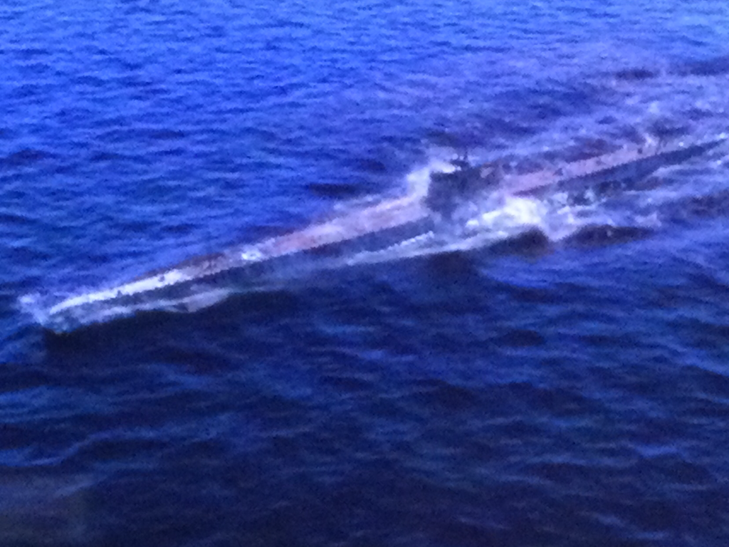 テレビドラマ「潜水艦カッペリーニ号の冒険」に愛希れいか、二宮和也演じる少佐の思い人に コメントあり- ステージナタリ