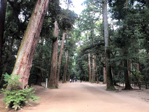 関東 日帰り×電車で行ける心を癒す一人旅5選！女性にもやさしいリフレッシュできるスポットを厳選 - さっこスタイル