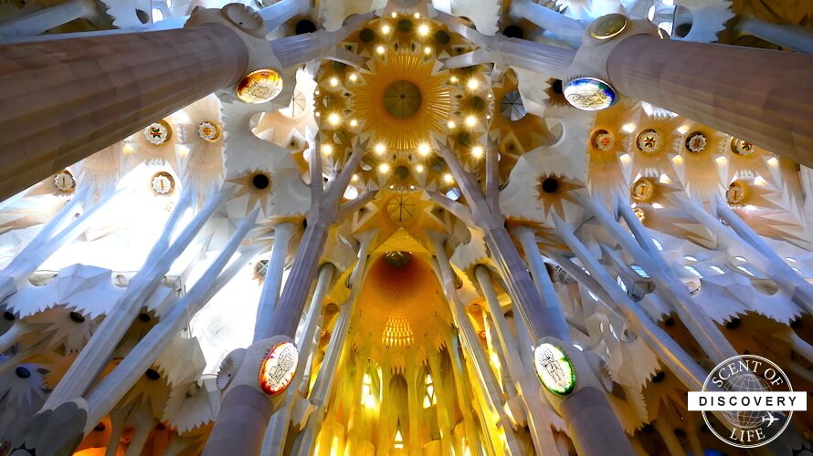 2025年版 サグラダファミリア チケット予約方法を徹底解説 -