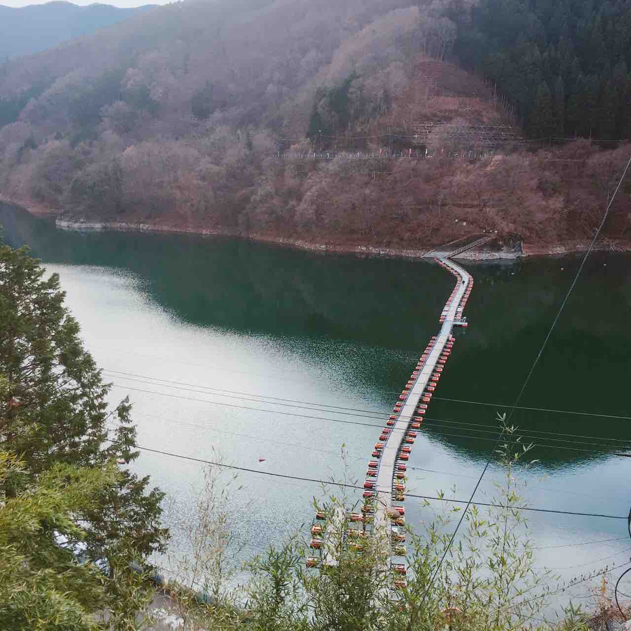 2025年 麦山の浮橋 - 出発前に知っておくべきことすべて -