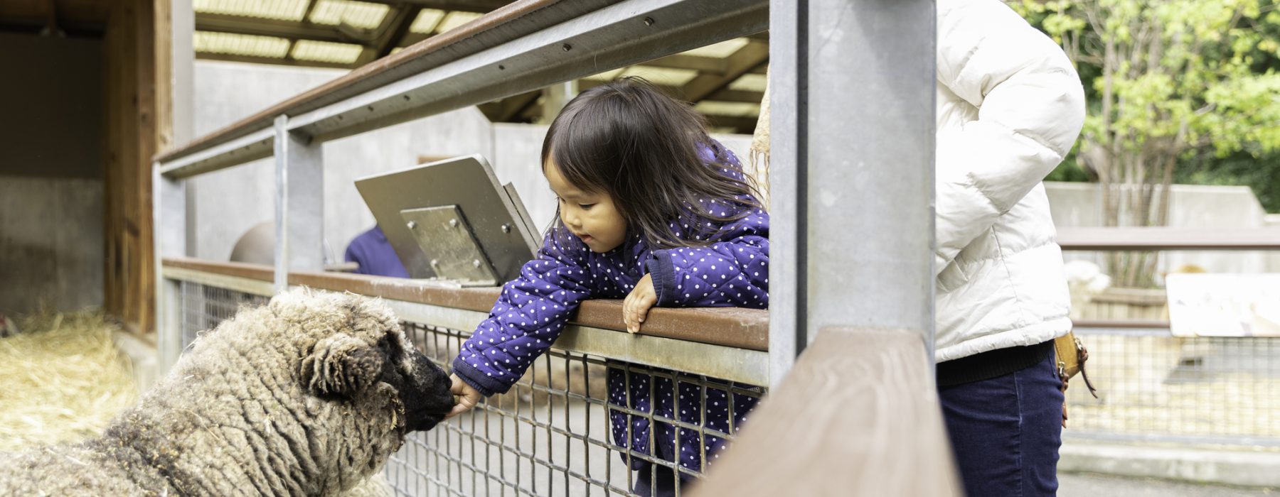 イヌと海外旅行・フィレンツェを満喫。 : Mi