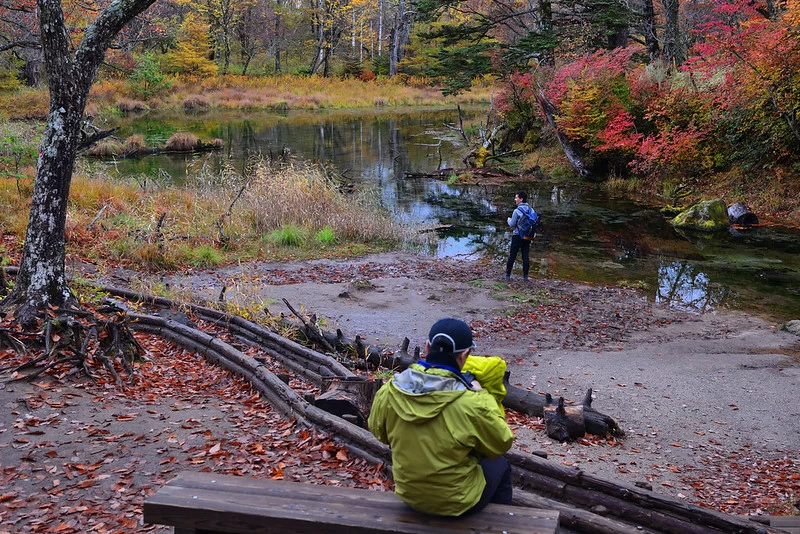 日光戦場ヶ原でPCBU-EQRDで撮影してきました - おやじねこのテレスコ日記