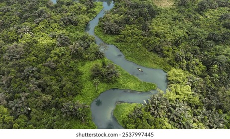 ニジェール川 - Wikipedia