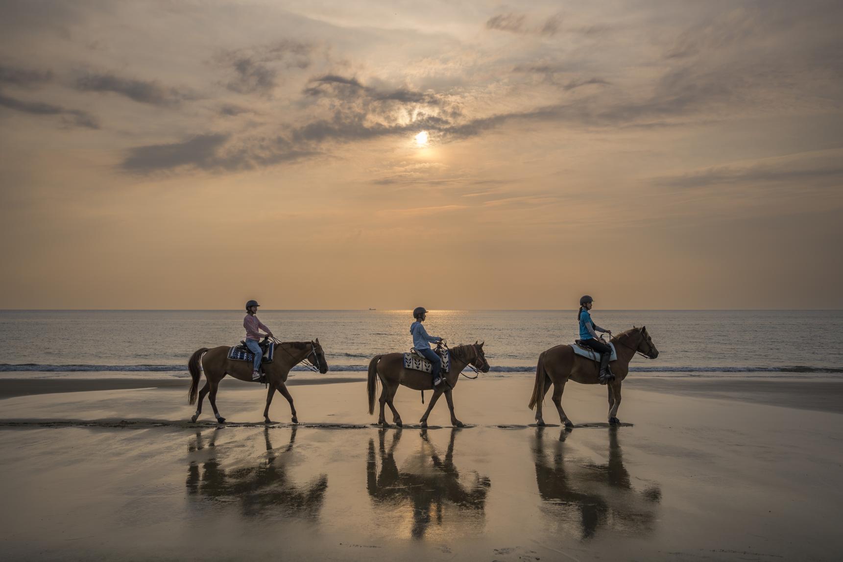 海馬遊び。海の中ってこんな感じ✨ ゴーグルつけると、こんなのも見れちゃうかも。沖縄与那国馬乗馬体験在来馬動物ふれあい動物馬大好きふれあいアクティビティ馬うみかぜホースファーム体験乗馬ヨナグニウマタピックグループビーチ