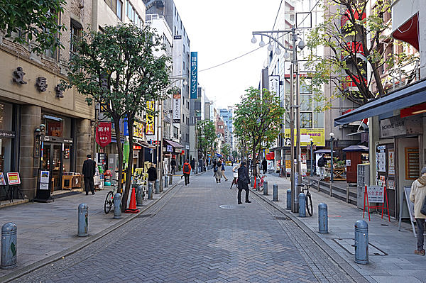 神田神保町古書店街を歩く首都圏お散歩コース Vol.13TOKYO WALKING東京ウォーキング