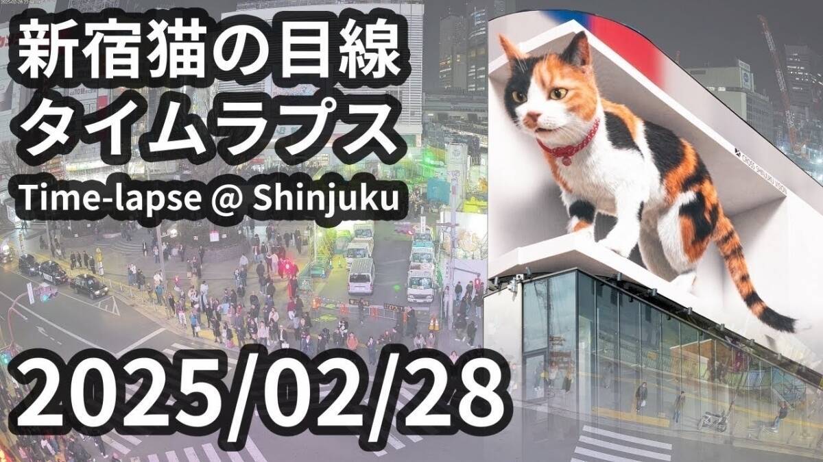 県の観光やグルメＰＲ動画 東京・新宿アルタ屋外ビジョンで放映：中日新聞Web