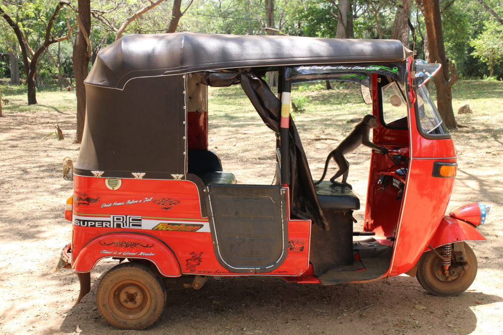 イタリアの旧市街・古い町並み クチコミ人気ランキング 2ページフォートラベル