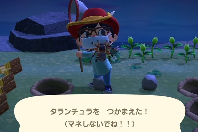 あつ森 離島ツアーの種類一覧とレア島の行き方 あつまれどうぶつの森- ゲームウィズ