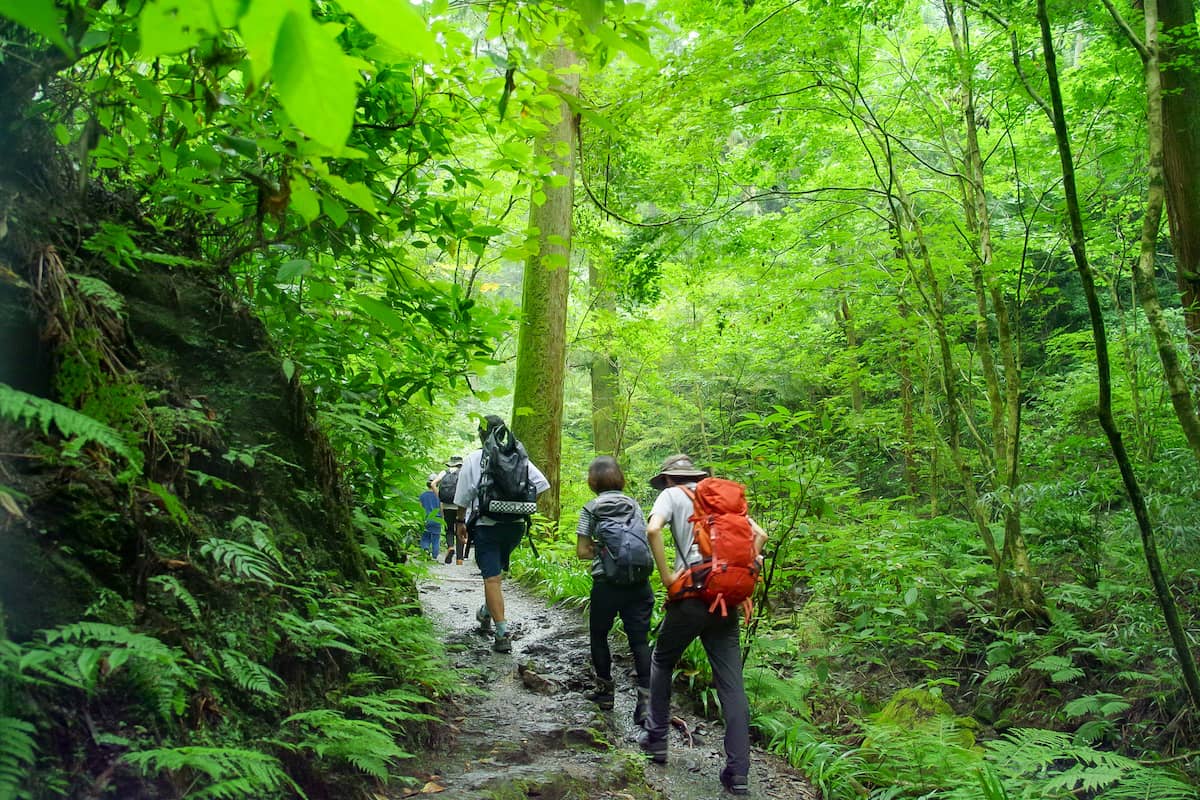 高尾山のリフト 中腹- No: 4850505写真素材なら「写真AC」無料 フリー