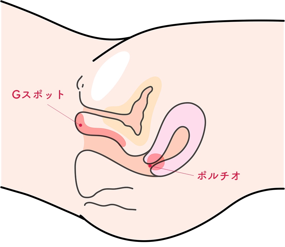 女体開発＞には順序あり!?痛みを最小限にして最高の奥イキであるポルチオ愛撫でイカせる6ステップ | 日刊SODオンライン