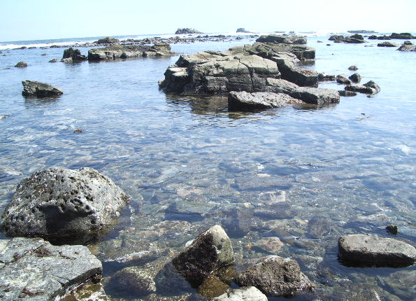 銚子おすすめスポット 犬吠埼灯台すぐ下の海！銚子のぬし釣り