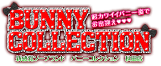 めあ：バニーコレクション秋田 - 秋田市近郊/ソープ｜駅ちか！人気ランキング