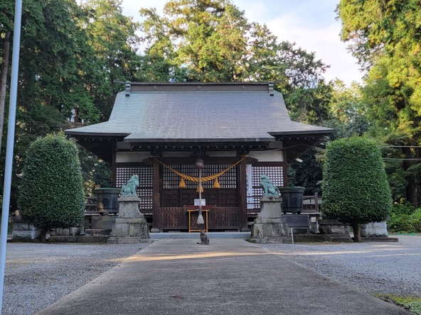 磯山神社あじさいの名所として名高い千年の歴史を持つ古社の魅力と参拝案内を詳しく解説 – わのっとメディア