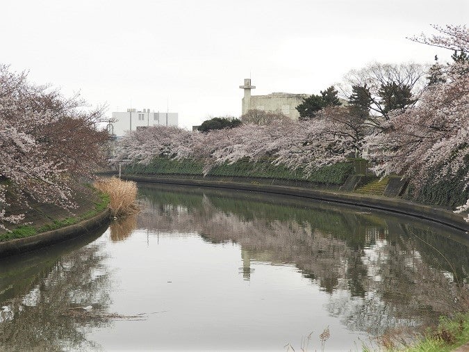 矢立橋の写真素材写真素材なら「写真AC」無料 フリー ダウンロードOK