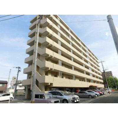 シティマンション九品寺第2 802号室 熊本市中央区九品寺[マンション 8階 2LDK