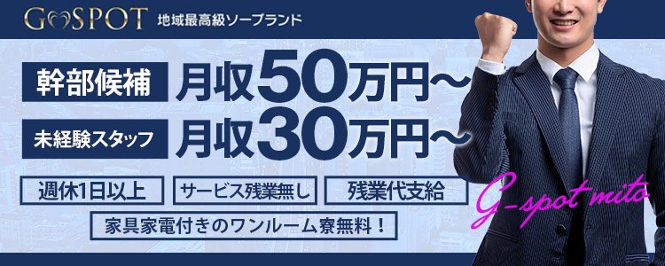 茨城県の風俗店員・受付スタッフ求人！高収入バイト募集｜FENIX JOB