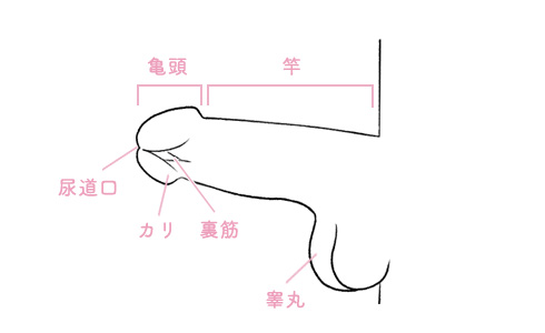 お掃除フェラで過去イチの快感を得よう！フェラ激ウマ＆大好き女子を見つける方法も紹介 - 逢いトークブログ