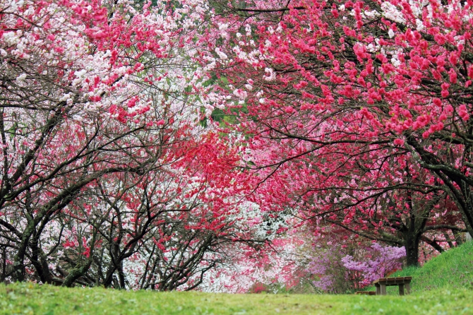 長野県のカップル・デートで楽しめるおすすめ観光スポット JTB