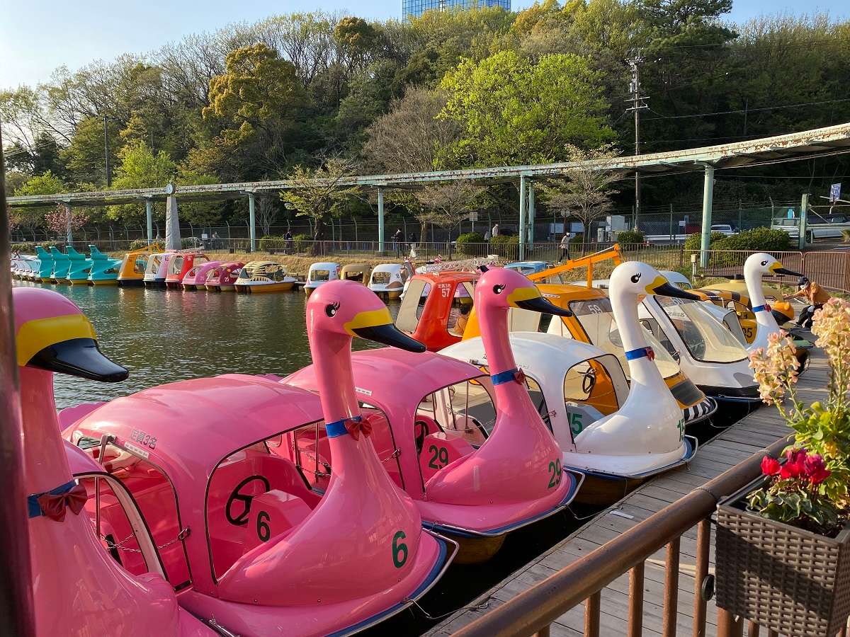 壱岐・対馬・五島のグラスボート・水中観光船 予約 おすすめランキング トラベルコ