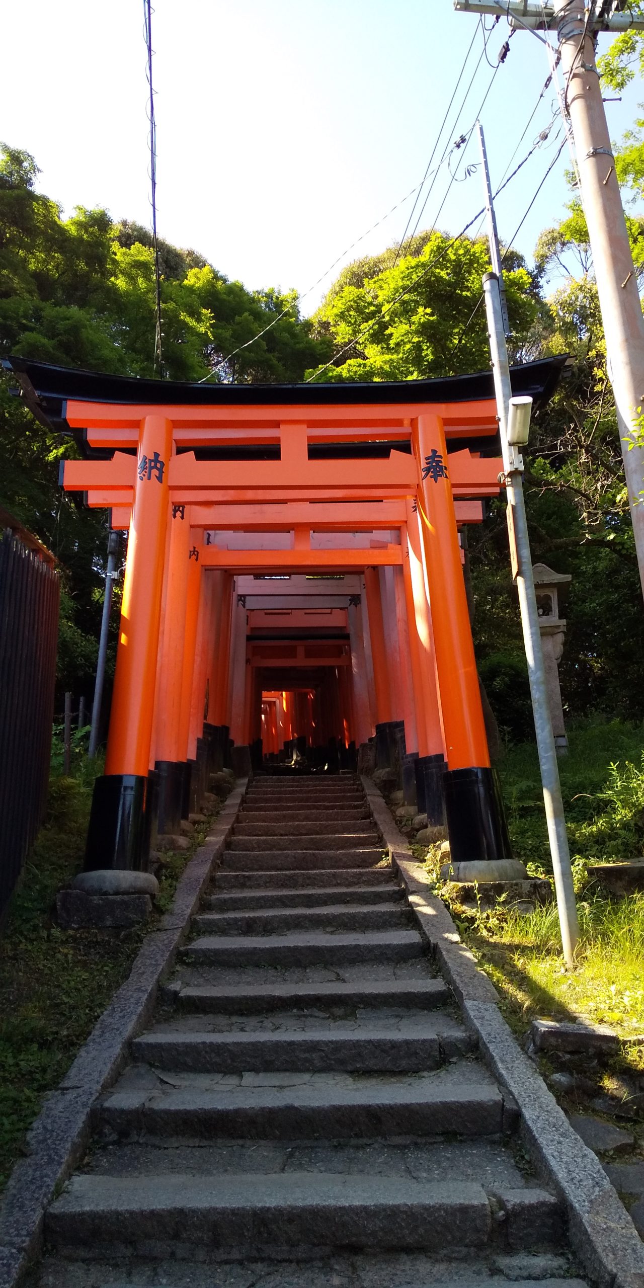 稲荷山、四つ辻からの景色の写真・画像素材-Snapmart スナップマート