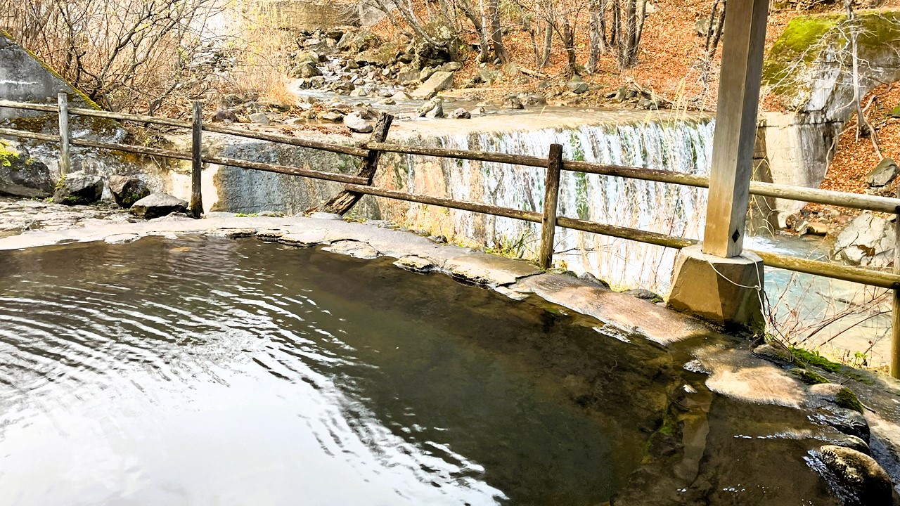 ぽんぽこの森FAMILY.CAMP場キャンプ場検索サイト hinata スポット