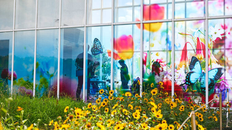 葛⻄臨海⽔族園・公園にて「海とつながる。アートをめぐる。― Harmony with Nature ―」