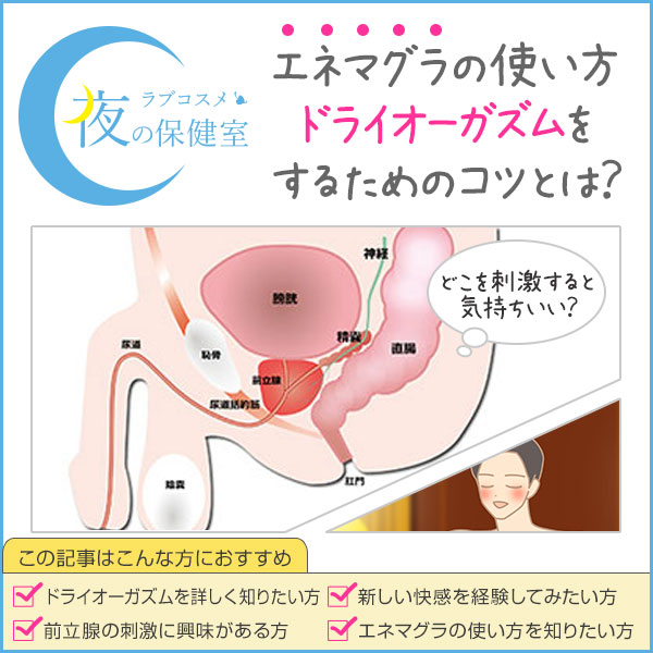 アネロスとは？全14種類の内容と魅力を紹介 | アネローゼ