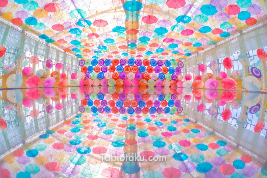 猪苗代ハーブ園Aizuwakamatsu-shi Fukushima