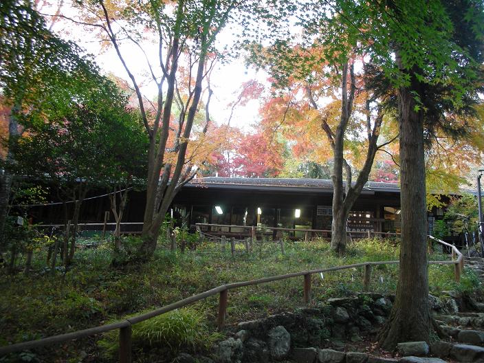 明治の森箕面国定公園「政の茶屋園地」もみじ広場 バーベキュー 5 17