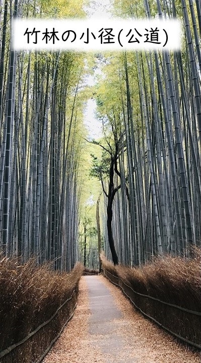 竹林の道・竹林の小径 アクセス・マップ・見どころ・ 嵐山