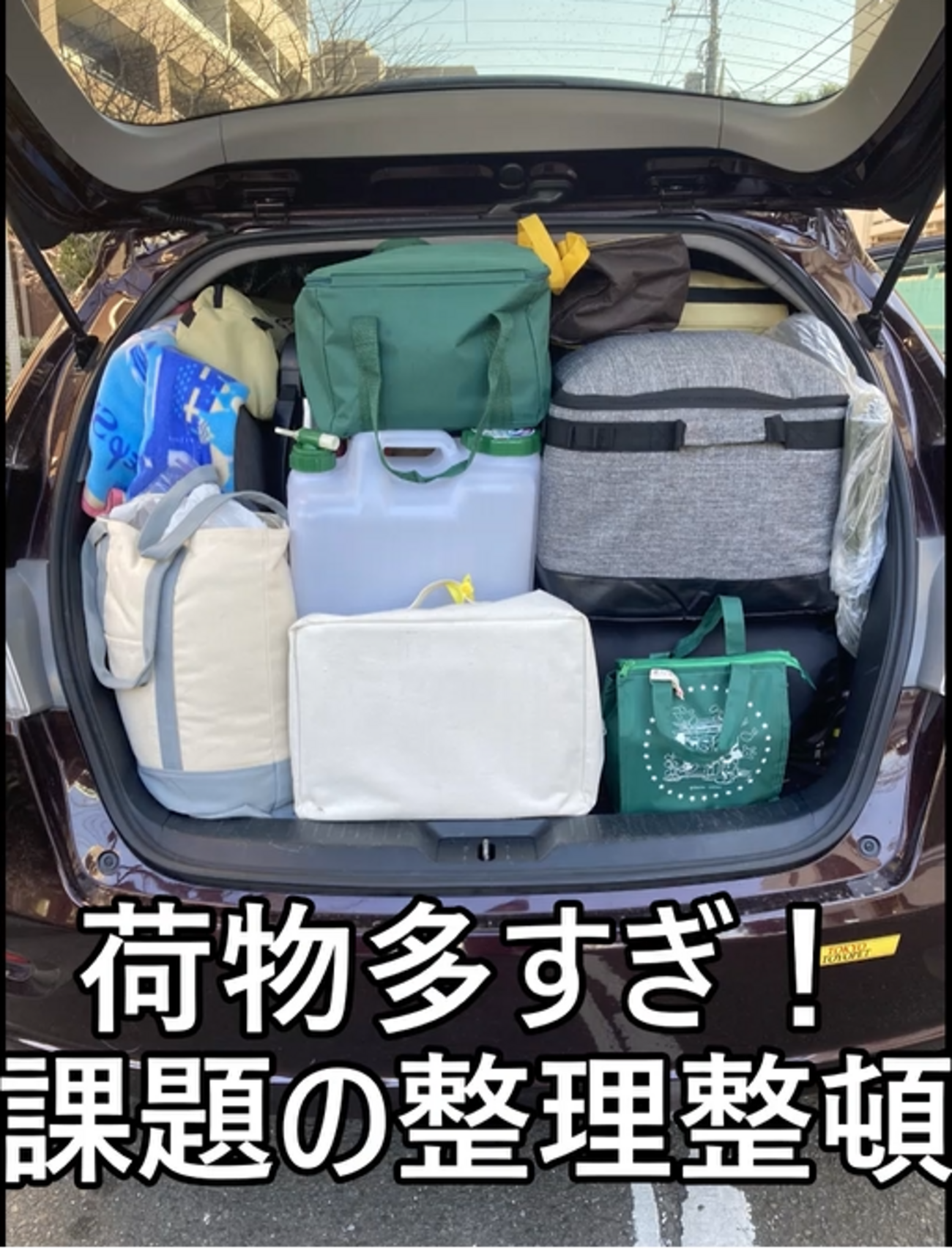 伸和日用品、アウトドア用品クーラーボックス 大型 保冷力