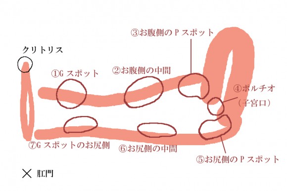 90%以上女性がオナニー経験有？中イキ開発バイブを体験してみたら3日目でイケた